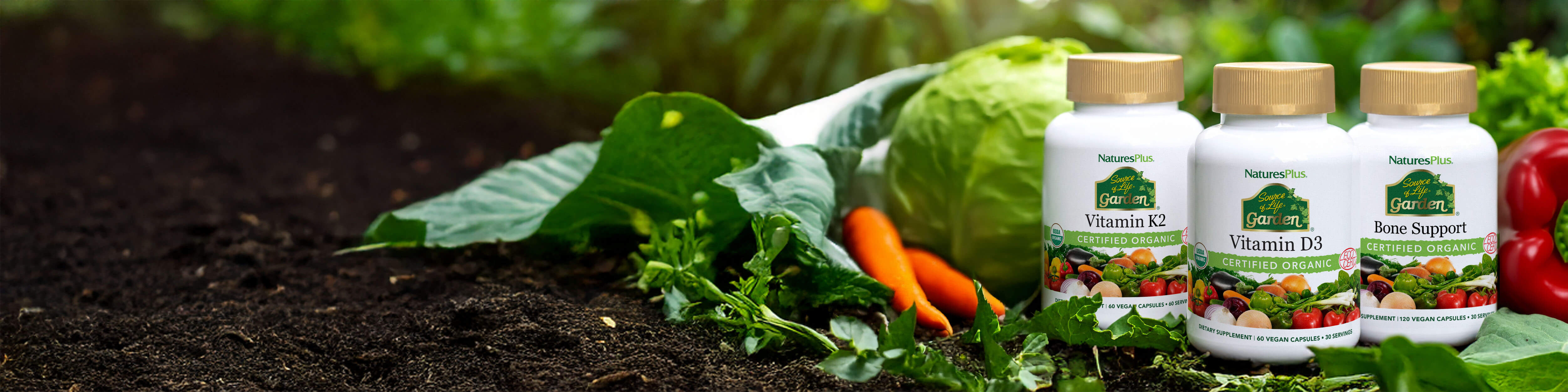 Source of Life Garden