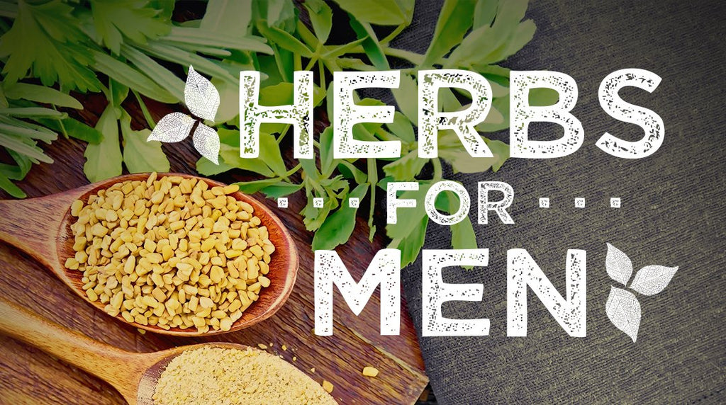 Best Herbs for Men: Top Herbal Supplements for Prostate & Erectile Health